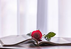 その他 7 Light haze sparse rain house homestay