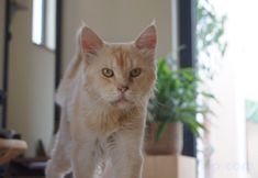 その他 2 Timeles* resort Hotel