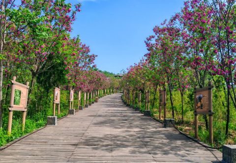 Others Qixin Xiaozhu Hostel