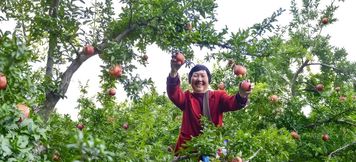 其他 4 Xi'an Muguang Xiaoyuan Homestay