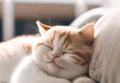 อื่นๆ 4 Bo'er Hotel (Xuwen Station)