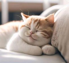 อื่นๆ 4 Bo'er Hotel (Xuwen Station)