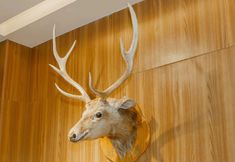 其他 3 Shuimo Mingguan Holiday Hotel