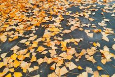 Lain-lain Wuxi Xu Xiake International Youth Hostel