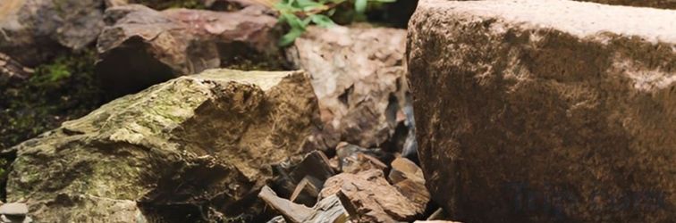 Lain-lain Kyotofish.Gojo