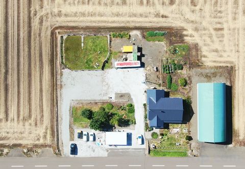 기타 5 Minutes to Flower Fields Max 10 Peoplewith Dog