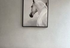 Others 4 Shell Hotel (Lianyungang Zaihai Yifang Jiaruibao Square)