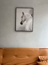 Others 4 Shell Hotel (Lianyungang Zaihai Yifang Jiaruibao Square)