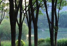 Others 5 Lakeview Peninsula Hotel (Zhengzhou Longzihu University Town Subway Station)