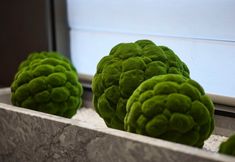 Others 2 Starway Hotel (Xi'an Xishaomen Taoyuan South Road)