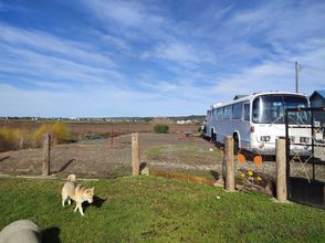 기타 4 5 Minutes to Flower Fields Max 10 Peoplewith Dog