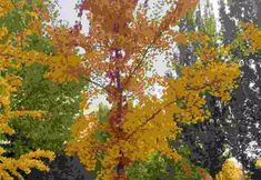 อื่นๆ 5 Beijing Guanyu Hotel (Wangjing Subway Station Branch)