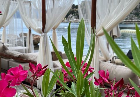 Others Z-Villas Beach Hotel