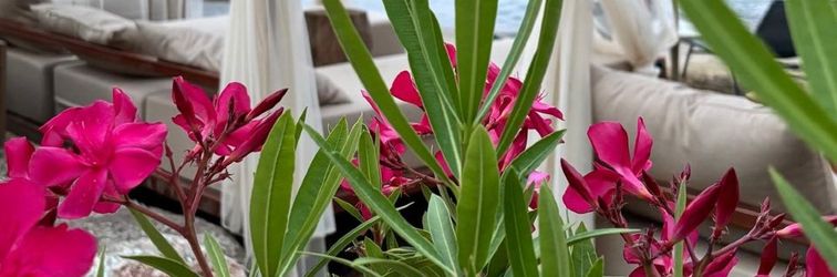 Others Z-Villas Beach Hotel