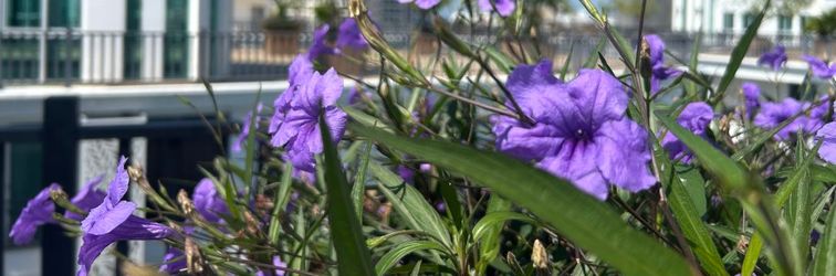 其他 Olympus Condominium:Beside the pedestrian street