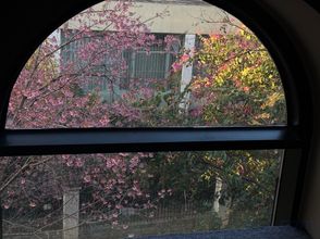 Lainnya 4 Hu Jing Qing You Hotel