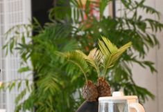 其他 3 Manju Hotel (Changchun Yuanda Shopping Center)