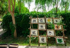 Others 7 Dunhuang Yangtao Homestay