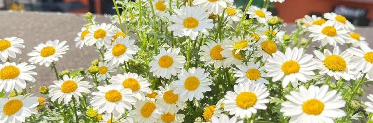 その他 court hotel(Hangzhou Wenyi Road Cuiyuan Store)