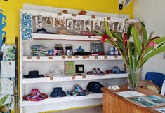 其他 4 Hideaway Island Resort and Marine Sanctuary