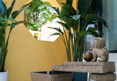 기타 7 Xianlaixuan VIEW·Guanshan Encounter Ancient City Fanhua Meisu (Dali Ancient City Center Branch)