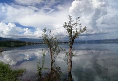 Others 6 Fuxian Lake Tingtiange Inn (Guanglong Town)