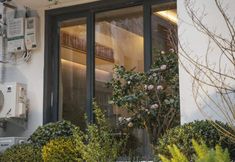 Others 4 Qiji Homestay (China National Garden Branch)