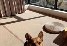 기타 7 Karas & Inès'