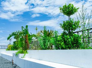 Lain-lain 4 Dali Yunshu Shiyue Inn