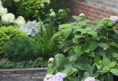 Others 5 Parkside Inn