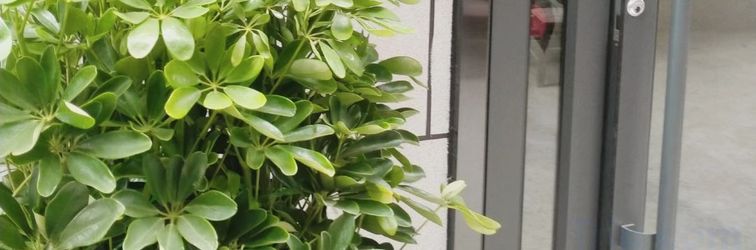 Others Chengxi Homestay (Luoyi Ancient City Branch)