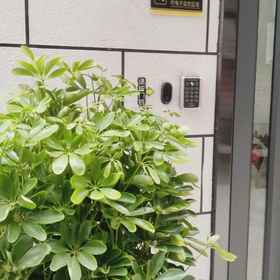 Hotel Exterior 1 Chengxi Homestay (สาขาเมืองโบราณ Luoyi), โรงแรม & ที่พัก Yangwan