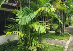 其他 4 Amorn inn resort