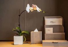 อื่นๆ 7 Hefei Beicheng Fumao Garden Hotel