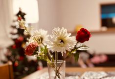 Lain-lain 6 TIGER INN Osaka. Central Osaka near USJ/Minami