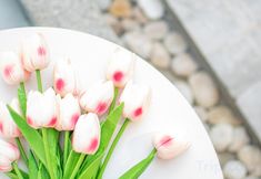 Others 5 Mina Pool Villa