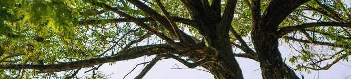 Others 2 Dali Shuanglang Manyu Ocean Liuyun Seaview Resort Hotel (Erhai Branch)