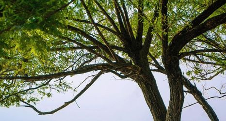 Others 2 Dali Shuanglang Manyu Ocean Liuyun Seaview Resort Hotel (Erhai Branch)