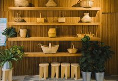 อื่นๆ 6 MYTEA