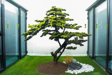 その他 MyStyle Hotel (Beijing Xidan Financial Street Branch)