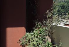 其他 6 Shiwai Qilan Homestay (Kangding Love Song Square Liuliu City)