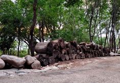 其他 5 Helan Mountain Yanhua Gucun Jiugu Xiaoshe Homestay