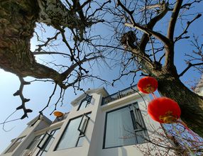 其他 4 Sunshine Inn