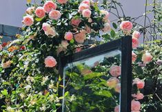 Khác 6 Suiye Garden Inn