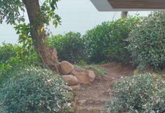 Others 6 Hangzhou Yazhuang Homestay(West Lake Scenic Area Store)