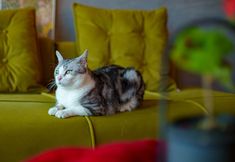 อื่นๆ 5 M Panda Tower Boutique Chengdu