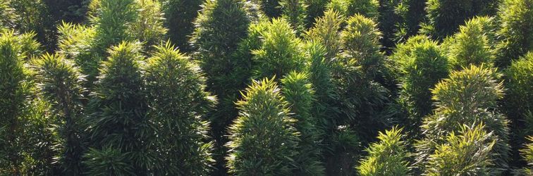 Others EMEISHANZAIYISHE·HUJINGHUANSHANDUJIAXUXANMEISU