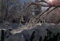 อื่นๆ 3 Xuexiang Northeast Yuan Inn (Erlanghe Scenic Area)