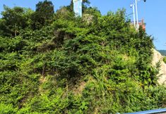 その他 2 Jianhe Hongcun Hotel