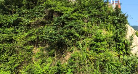 その他 2 Jianhe Hongcun Hotel